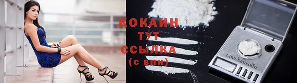 спиды Нефтекумск