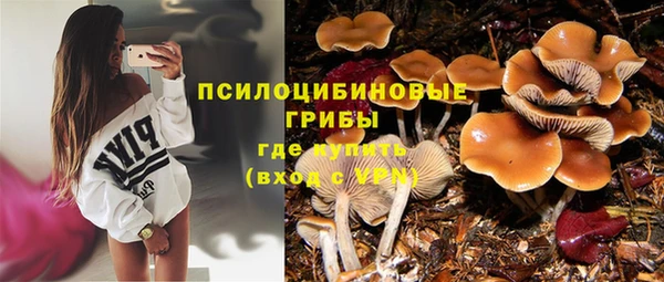спайс Нефтегорск