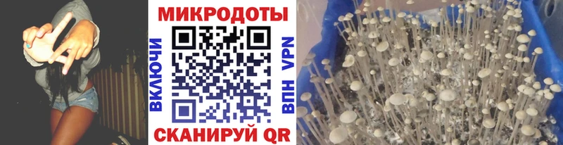 Псилоцибиновые грибы прущие грибы  цена наркотик  Магадан 