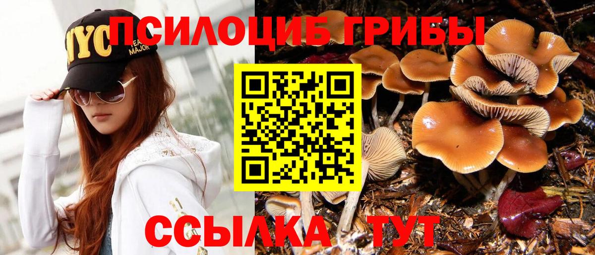 Магадан  Псилоцибиновые грибы GOLDEN TEACHER  Вход с VPN  Галлюциногенные грибы Psilocybine cubensis 