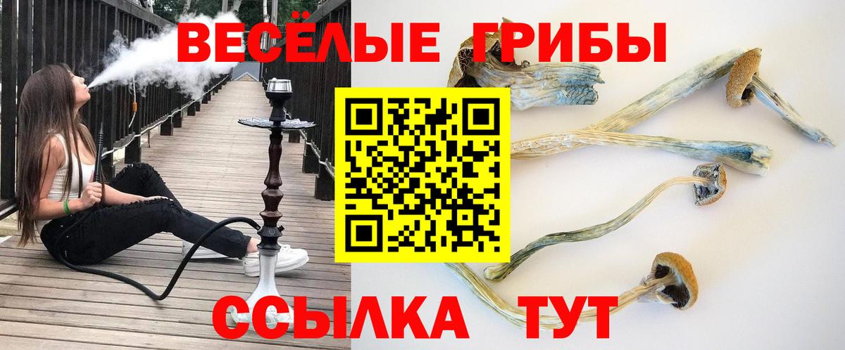 Псилоцибиновые грибы MAGIC MUSHROOMS  Псилоцибиновые грибы мицелий  Магадан 